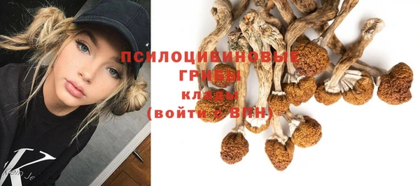 метадон Алзамай