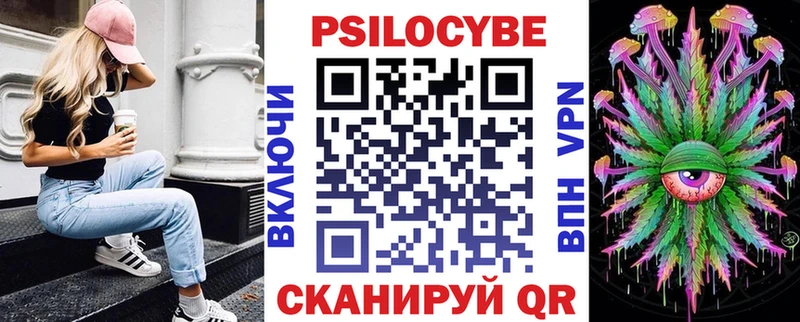 где можно купить   Волжский  Псилоцибиновые грибы GOLDEN TEACHER 