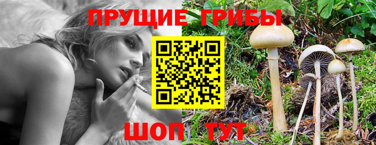 Галлюциногенные грибы ЛСД Волжский